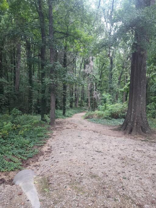 Apartament Spotless 4Br Near Clt Uptown, Fast Wi-Fi Charlotte Zewnętrze zdjęcie